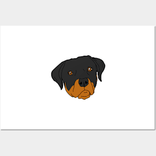 Rottweiler Posters and Art